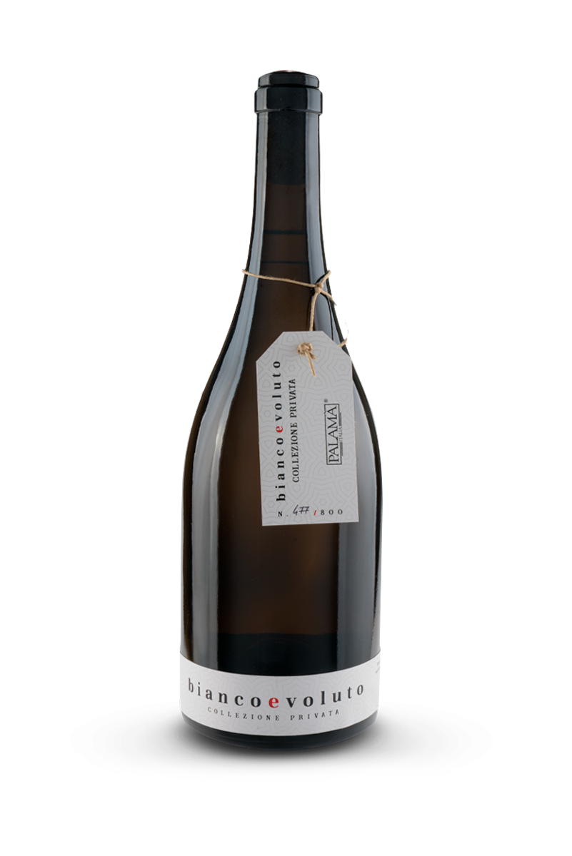 Evoluto Salento Bianco 2020